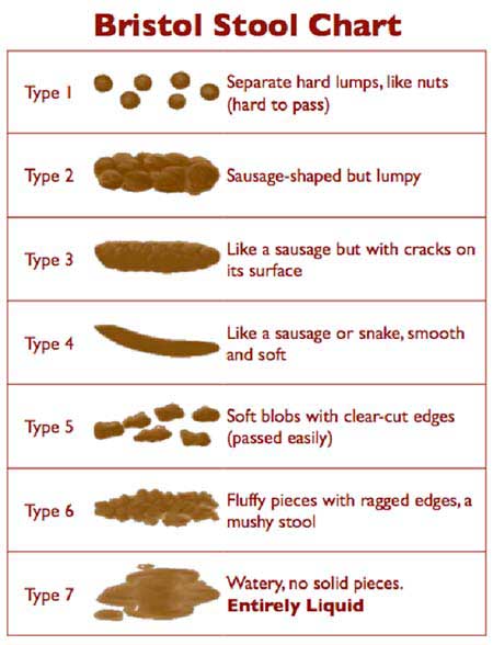 How Perfect Is Your Poop?