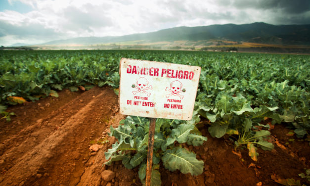 Glyphosate: Why Eating Organic Really Does Matter